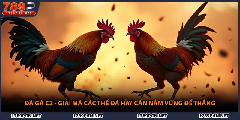 Đá Gà C2 - Giải Mã Các Thế Đá Hay Cần Nắm Vững Để Thắng
