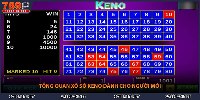 Tổng quan xổ số keno dành cho người mới